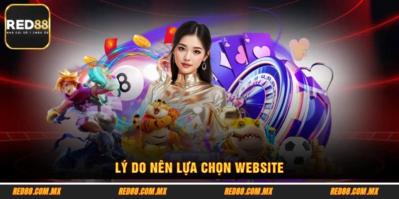 Lý do nên lựa chọn website
